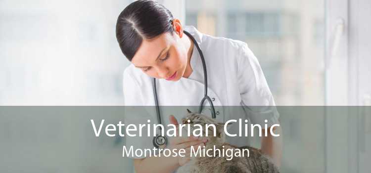 Veterinarian Clinic Montrose Michigan