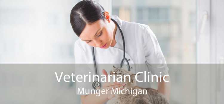 Veterinarian Clinic Munger Michigan