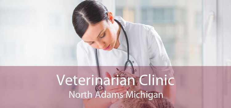 Veterinarian Clinic North Adams Michigan
