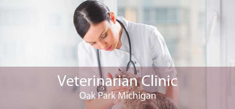 Veterinarian Clinic Oak Park Michigan