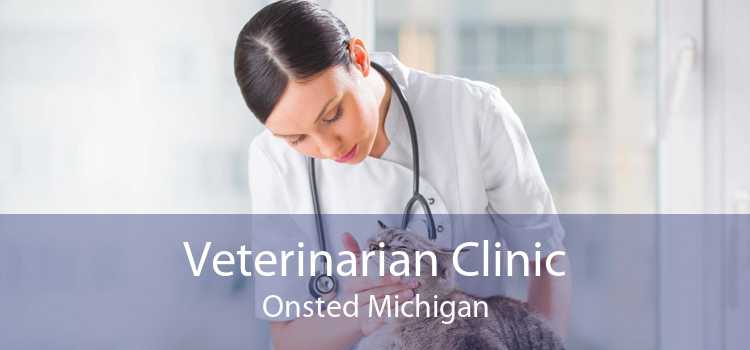 Veterinarian Clinic Onsted Michigan
