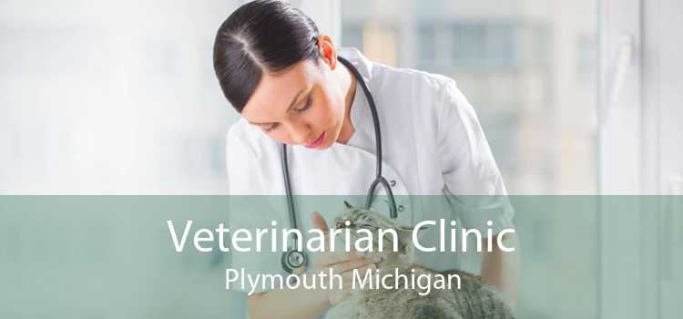 Veterinarian Clinic Plymouth Michigan