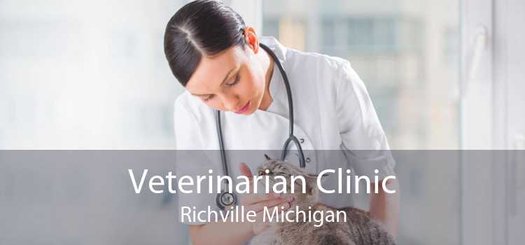 Veterinarian Clinic Richville Michigan