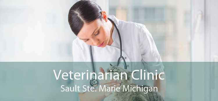 Veterinarian Clinic Sault Ste. Marie Michigan