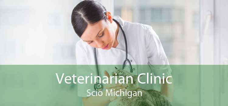 Veterinarian Clinic Scio Michigan