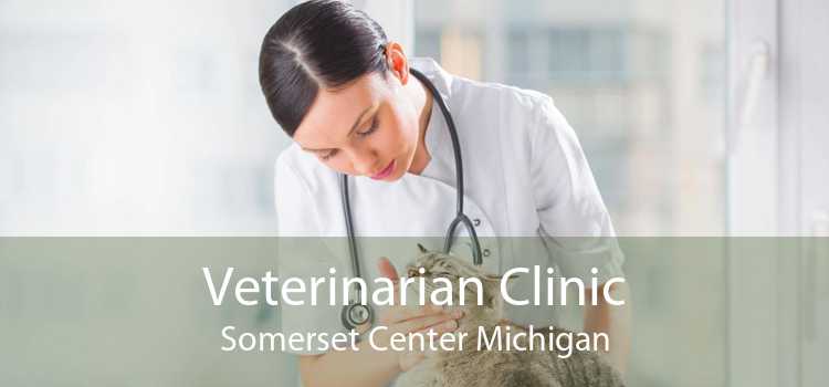 Veterinarian Clinic Somerset Center Michigan