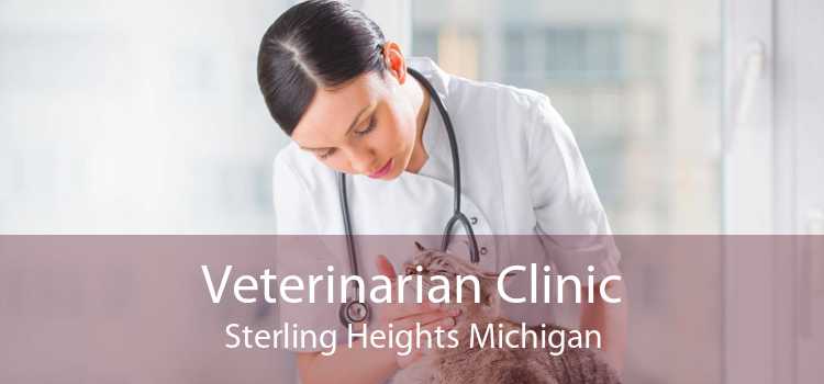 Veterinarian Clinic Sterling Heights Michigan