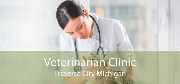 Veterinarian Clinic Traverse City Michigan