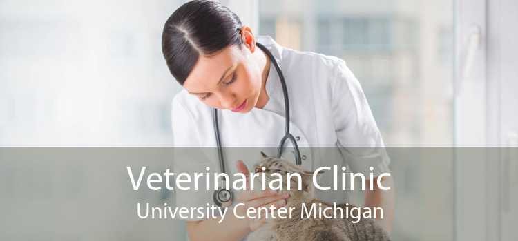 Veterinarian Clinic University Center Michigan