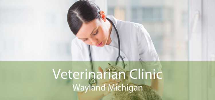 Veterinarian Clinic Wayland Michigan