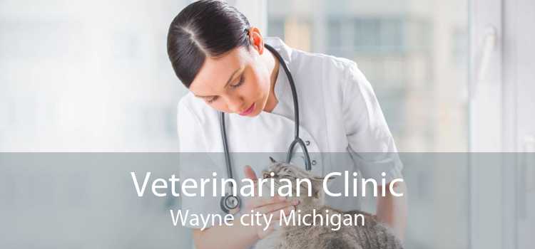 Veterinarian Clinic Wayne city Michigan