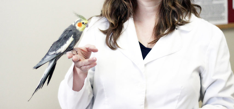 bird regular veterinary hospital in Kalamazoo