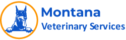 best pet vet specialist in Union charter township