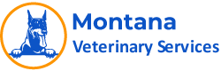 best pet vet specialist in Dryden